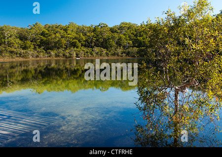 Becken-See, einen kurzen Spaziergang vom Hauptbahnhof Campingplatz, Fraser Island. Stockfoto