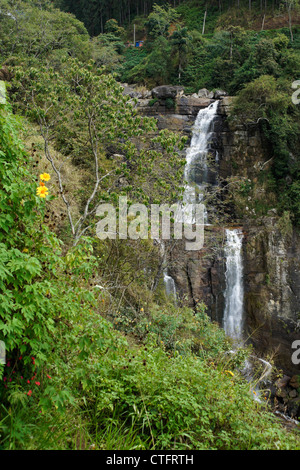 Ramboda Falls, Bergland von Sri Lanka Stockfoto