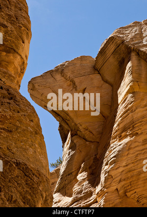 Der Canyon Wände von lecken Wash Trail im südlichen Utah USA Stockfoto