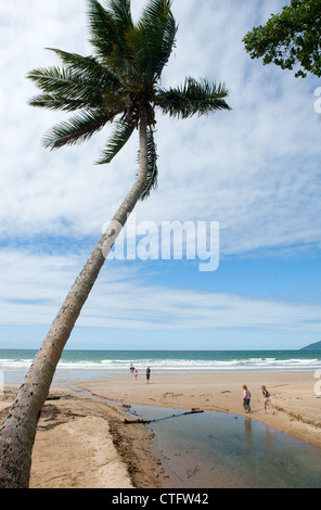 Ein Bach durchquert den goldenen Sandstrand von North Mission Beach an der Kasuar Küste von Far North Queensland Stockfoto