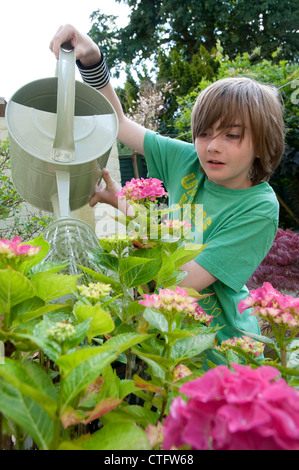 männliche junge Gärtner Stockfoto