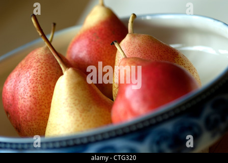 Forelle Birnen in einer blauen Schüssel Stockfoto