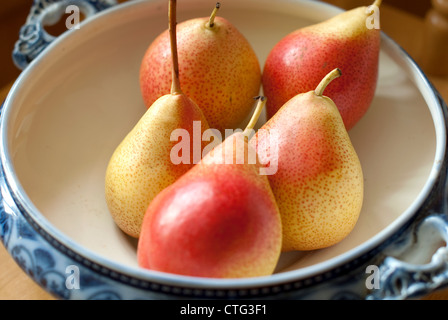 Forelle Birnen in eine alte blaue Schale Stockfoto