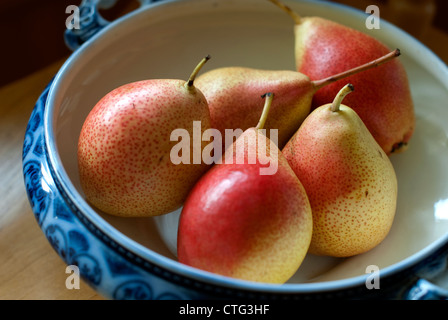 Forelle Birnen in eine alte blaue Schale Stockfoto