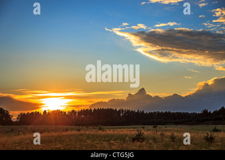 Wiese und Wald im Licht der untergehenden Sonne. Stockfoto