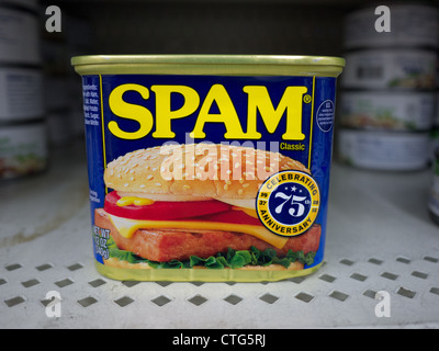 Spam kann aus der Dose essen zurückstellen Stockfoto