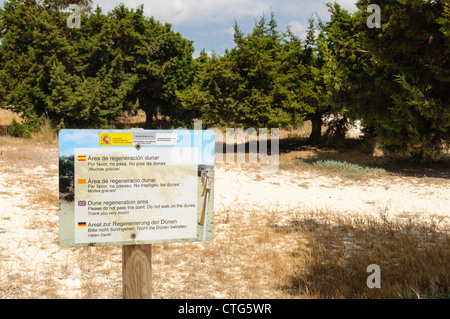 Mehrsprachige Zeichen an einem Strand Leute Fragen nicht zu Fuß auf Sanddünen auf Mallorca. Stockfoto