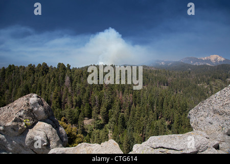 Sequoia Nationalpark, Kalifornien - Rauch aus einem vorgeschriebenen Feuer im Sequoia National Park. Stockfoto