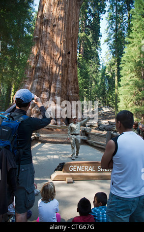 Ein volunteer Parkranger im Sequoia National Park Besuchern spricht der General Sherman, der weltweit größten lebenden Baum Stockfoto