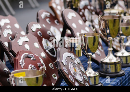 Tisch gedeckt, Trophäen und Auszeichnungen, darunter hölzernen Tafeln und Silberbecher Stockfoto