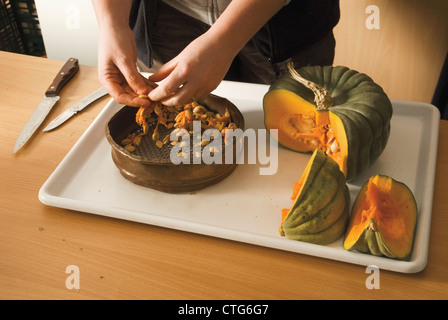 Curcubita Maxima 'Queensland blue', Kürbis Stockfoto