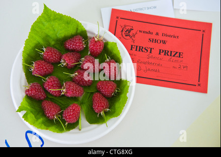 Erster Preis für Himbeeren in der Gemüseabteilung in kleinen ländlichen Land zeigen auf Bauernhof am Cwmdu Powys Wales UK Stockfoto