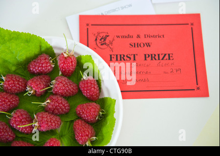 Erster Preis für Himbeeren in der Gemüseabteilung in kleinen ländlichen Land zeigen auf Bauernhof am Cwmdu Powys Wales UK Stockfoto