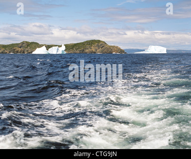 Eisberg im Hafen von St.Mary in Neufundland; Ostküste; Kanada; Nord-Amerika Stockfoto