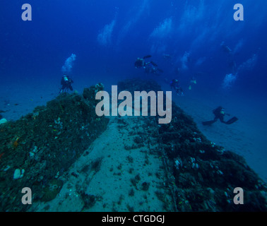 West Palm Beach, FL, USA. Wracktauchen. Taucher am Wrack trek. Stockfoto