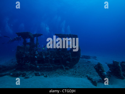 West Palm Beach, FL, USA. Wracktauchen. Taucher am Wrack trek. Stockfoto