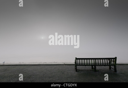 Nebel hüllt den Humber River. Eine einsame Möwe ist am Rande der Promenade, in der Nähe eine leere Bank. Leere Konzept stille Einsamkeit Stockfoto