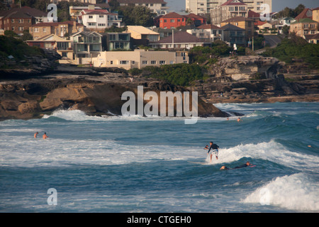 Surfer reiten Welle direkt an der Bronte Beach mit Roacky Küste und Häuser im Hintergrund Bronte Sydney New South Wales Australien Stockfoto