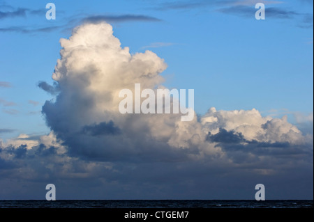 Cumulus Congestus / towering Cumulus-Wolken über dem Meer durch die Entwicklung von Cumulus Mediocris gebildet Stockfoto