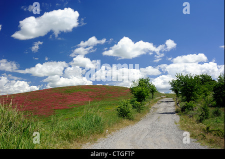 Italien, Basilicata, Landstraße Stockfoto