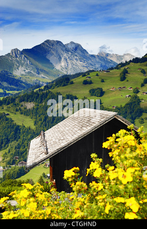 eine schöne Aussicht auf ein Chalet im Sommer, mit Blumen- und Alpen Berge, Frankreich Stockfoto