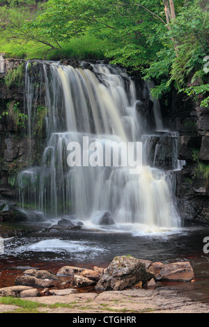 Osten Gill Force in der Nähe von Keld im Swaledale, Yorkshire Stockfoto