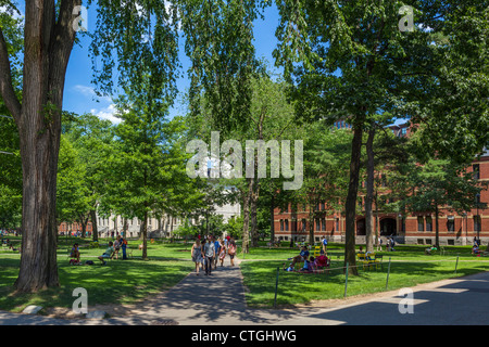 Studenten und Besucher im "Alten Hof" des Harvard Yard, Harvard University, Cambridge, Boston, Massachusetts, USA Stockfoto