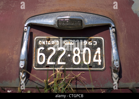 Kincardine Ontario, Kanada - 14. Juli 2012. Ein 1952 Jaguar Mark VII sitzt in einem Bauern Feld in Südwest-Ontario, Kanada. Stockfoto