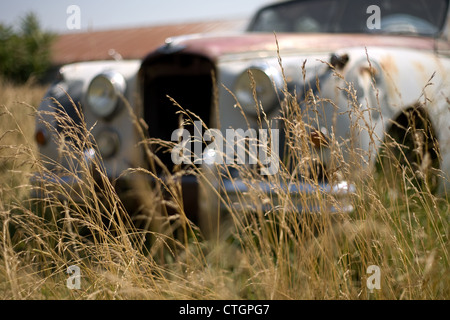 Kincardine Ontario, Kanada - 14. Juli 2012. Ein 1952 Jaguar Mark VII sitzt in einem Bauern Feld in Südwest-Ontario, Kanada. Stockfoto