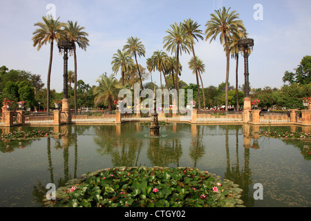Spanien, Andalusien, Sevilla, Parque de Marie Luisa Stockfoto