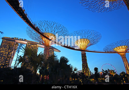 Abenddämmerung am Supertree Grove bei Gardens By The Bay in Singapur, mit dem Marina Bay Sands in den Hintergrund. Stockfoto