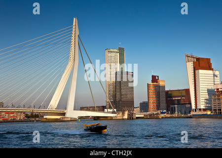 Wohn- und Geschäftsviertel genannt Kop van Zuid. Brücke genannt Erasmusbrücke, Architekten Ben van Berkel. Stockfoto