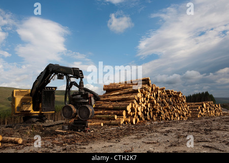 "Hohe Häuser"  HOHE Häuser Wald in Snaizeholme aus Widdale Holz-Plantage, Hawes in North Yorkshire Dales, UK Stockfoto