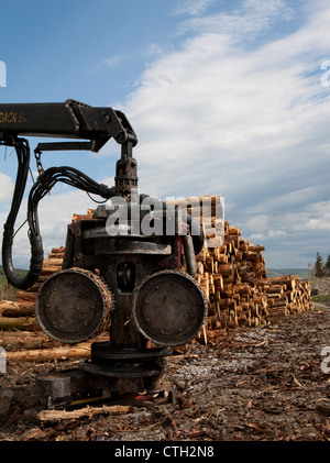 "Hohe Häuser"  HOHE Häuser Wald in Snaizeholme aus Widdale Holz-Plantage, Hawes in North Yorkshire Dales, UK Stockfoto