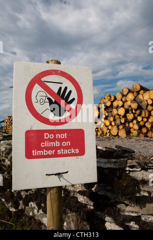 "Hohe Häuser"  HOHE Häuser Wald in Snaizeholme aus Widdale Holz-Plantage, Hawes in North Yorkshire Dales, UK Stockfoto