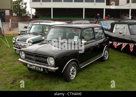 British Leyland Mini 1275GT Stockfoto