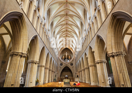 England, Somerset, Brunnen, Brunnen-Kathedrale Stockfoto