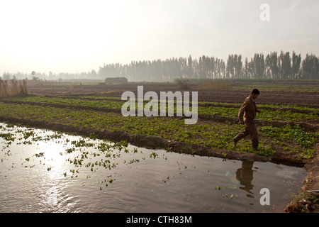 Ein Mann der uigurischen bewässert und neigt dazu, seine Felder in Turpan, Xinjiang, China Stockfoto