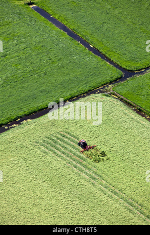 Niederlande, Breukelen, Traktor drehen Rasen. Luft. Stockfoto