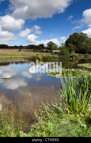 Lethytep; Cornwall; VEREINIGTES KÖNIGREICH; Bauernhof Diversifikation; Stockfoto