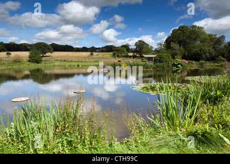 Lethytep; Cornwall; VEREINIGTES KÖNIGREICH; Bauernhof Diversifikation; Stockfoto