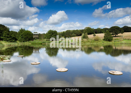 Lethytep; Cornwall; VEREINIGTES KÖNIGREICH; Bauernhof Diversifikation; Tierwelt-Teich und ausblenden Stockfoto