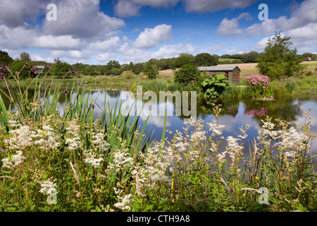 Lethytep; Cornwall; VEREINIGTES KÖNIGREICH; Bauernhof Diversifikation; Tierwelt-Teich und ausblenden Stockfoto