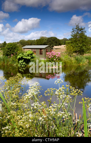 Lethytep; Cornwall; VEREINIGTES KÖNIGREICH; Bauernhof Diversifikation; Tierwelt-Teich und ausblenden Stockfoto