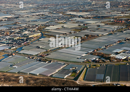 Den Niederlanden, Monster, Region Westland. Gartenbau in Gewächshäusern. Luft. Stockfoto