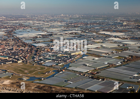 Den Niederlanden, Monster, Region Westland. Gartenbau in Gewächshäusern. Luft. Stockfoto