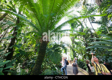 England, London, Richmond, Kew Gardens, Palm House Stockfoto