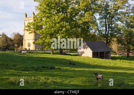 Abendlicht am Schafstall unter Str. Marys Kirche in Cotswold Dorf Temple Guiting, Gloucestershire Stockfoto