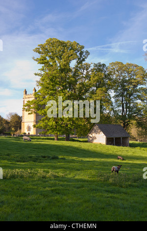 Abendlicht am Schafstall unter Str. Marys Kirche in Cotswold Dorf Temple Guiting, Gloucestershire Stockfoto