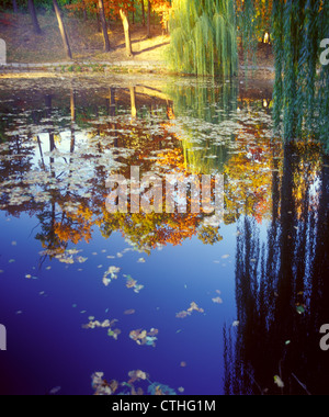 Herbst Reflexionen. Stockfoto